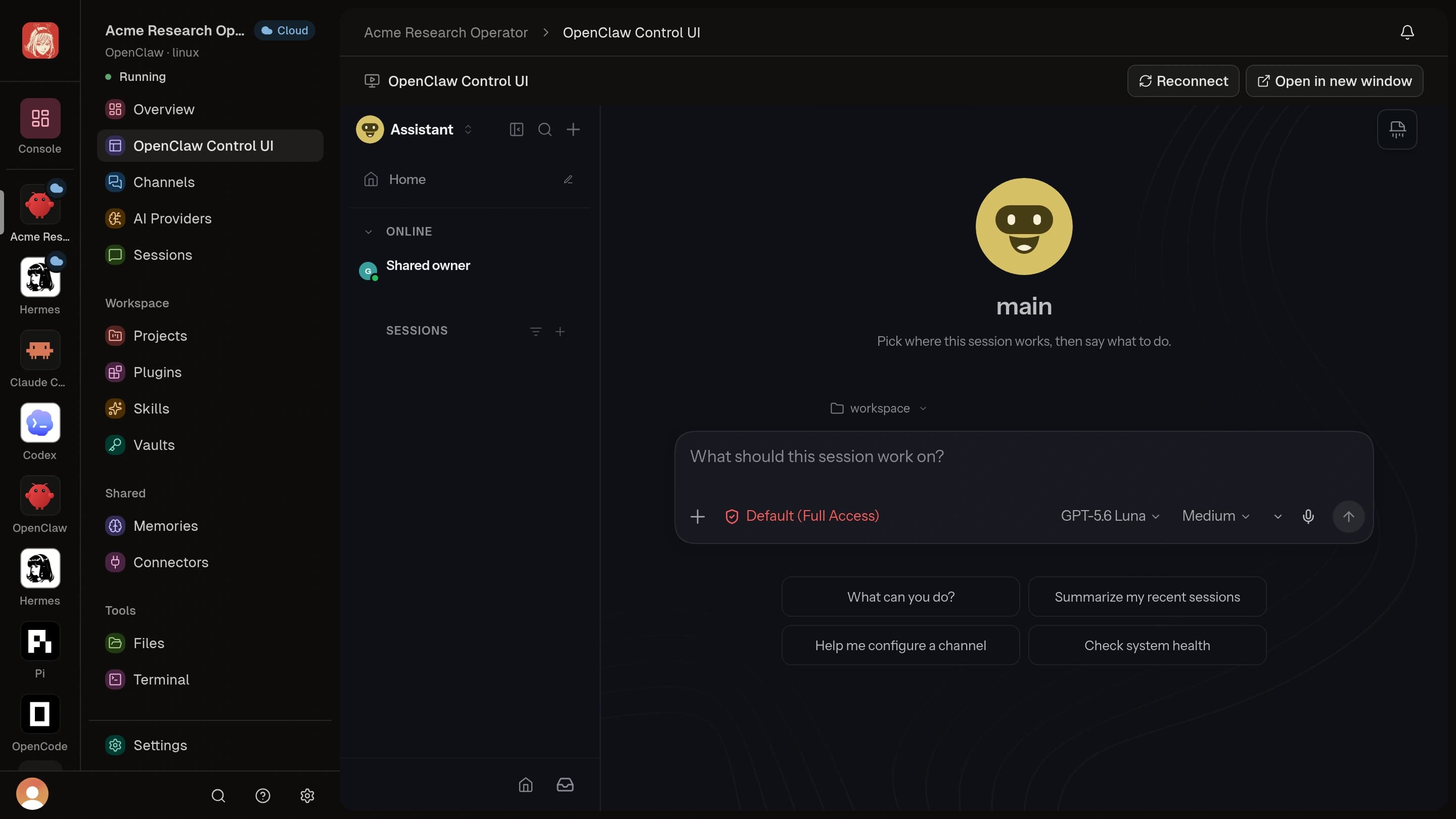 OpenClaw running as a Cloud Agent in Clawdi, with its Control UI, a new session, a loaded model selector, and a message composer
